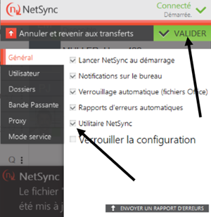 NS1