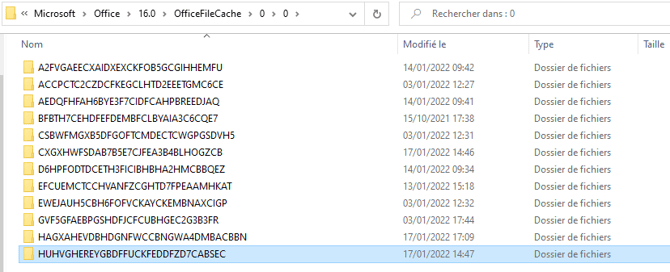 filecache-MS-office